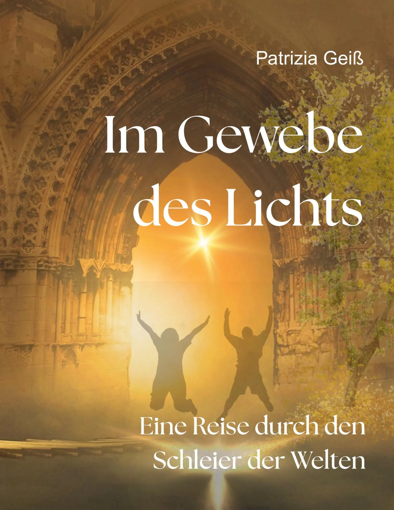 Cover: 9783819267208 | Im Gewebe des Lichts | Eine Reise durch den Schleier der Welten | Geiß