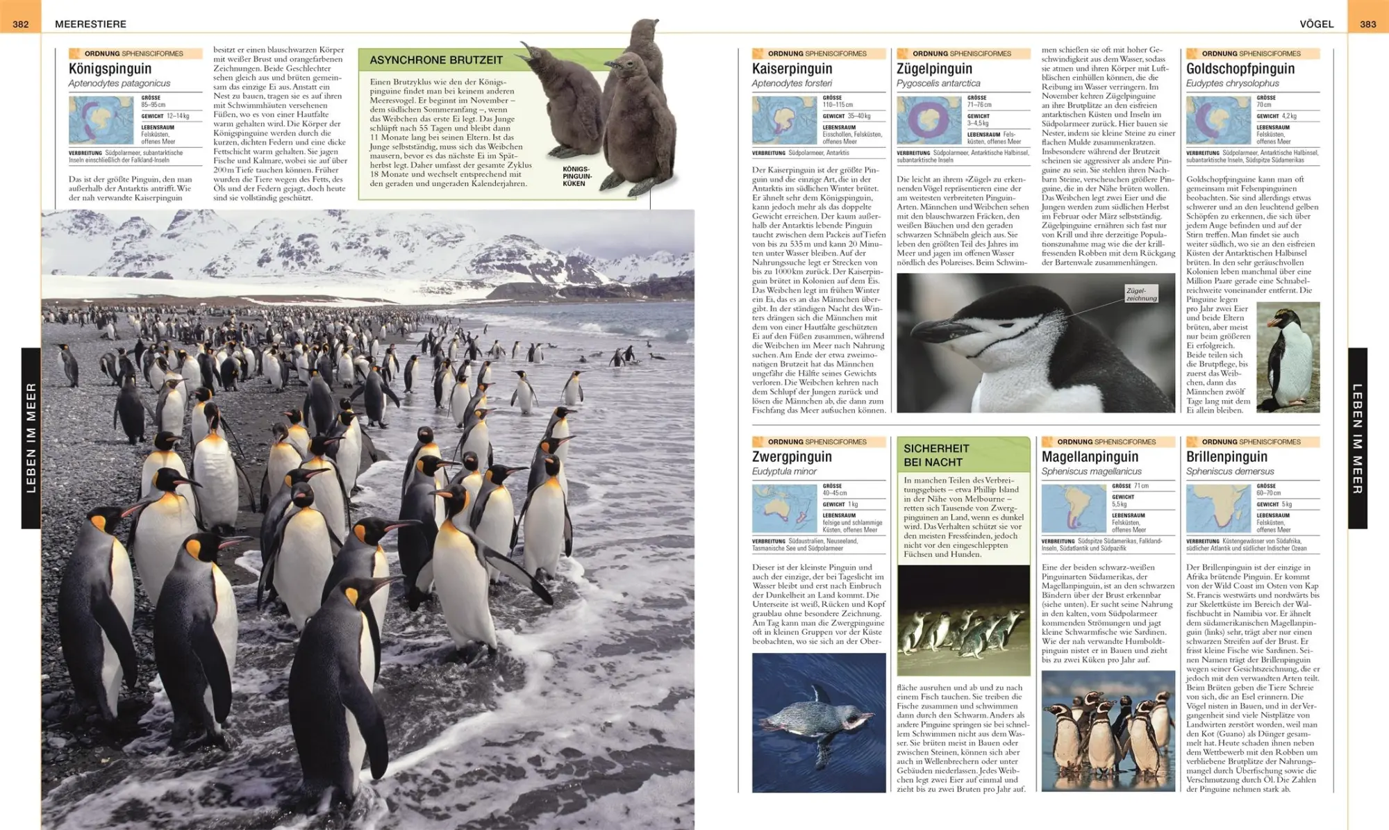 Bild: 9783831047208 | Ozeane | Kim Dennis-Bryan (u. a.) | Buch | 512 S. | Deutsch | 2023