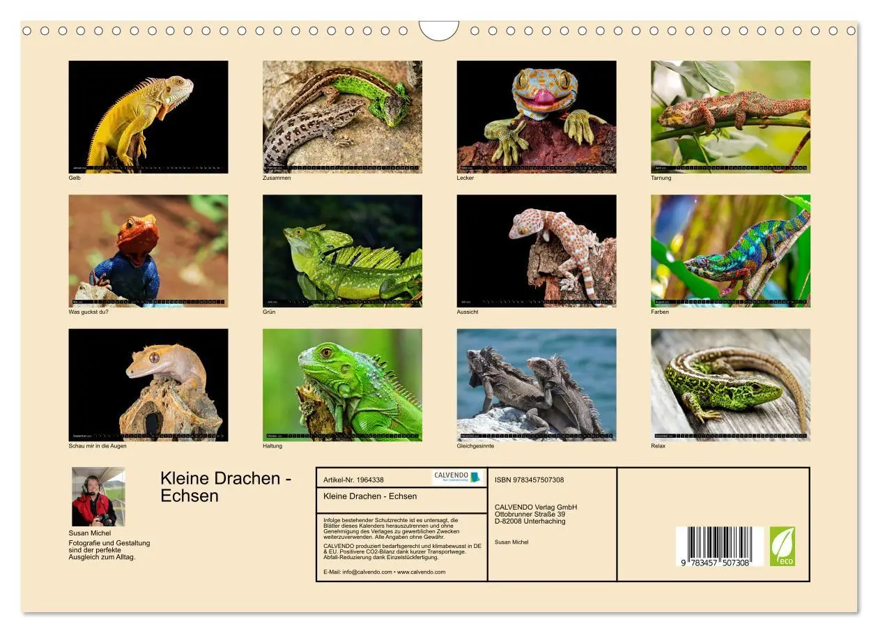 Bild: 9783457507308 | Kleine Drachen - Echsen (Wandkalender 2026 DIN A3 quer), CALVENDO...