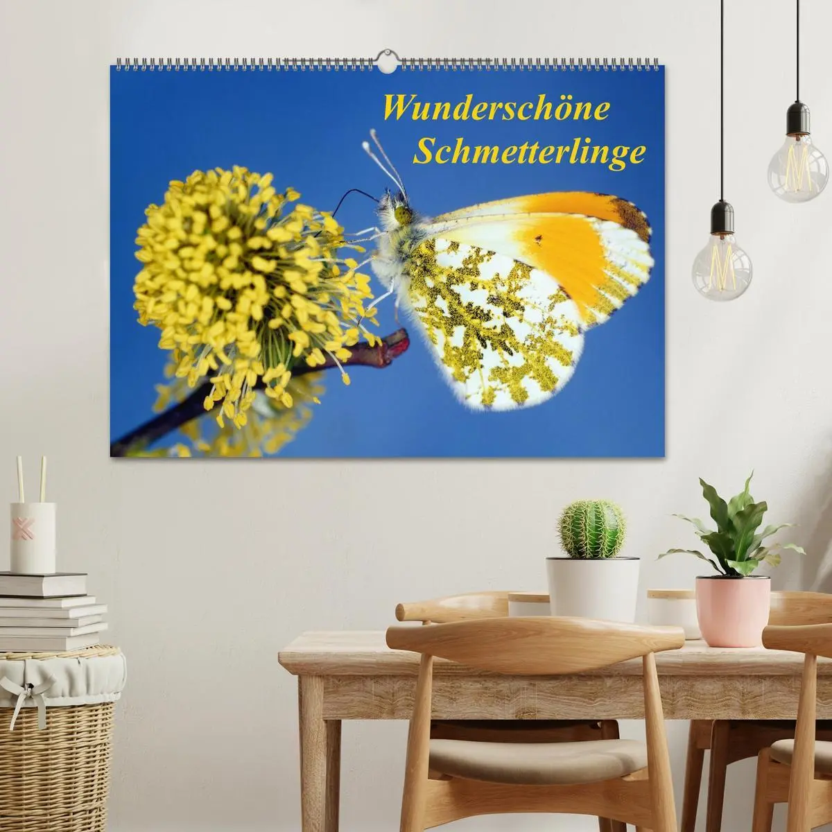 Bild: 9783516217308 | Wunderschöne Schmetterlinge (Wandkalender 2026 DIN A2 quer),...