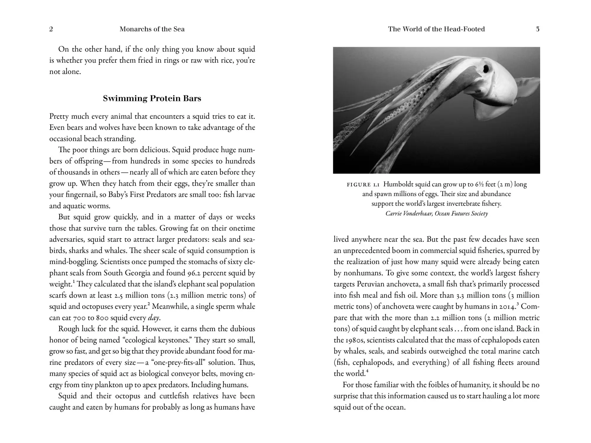 Bild: 9781615197408 | Monarchs of the Sea | Danna Staaf | Taschenbuch | Englisch | 2020