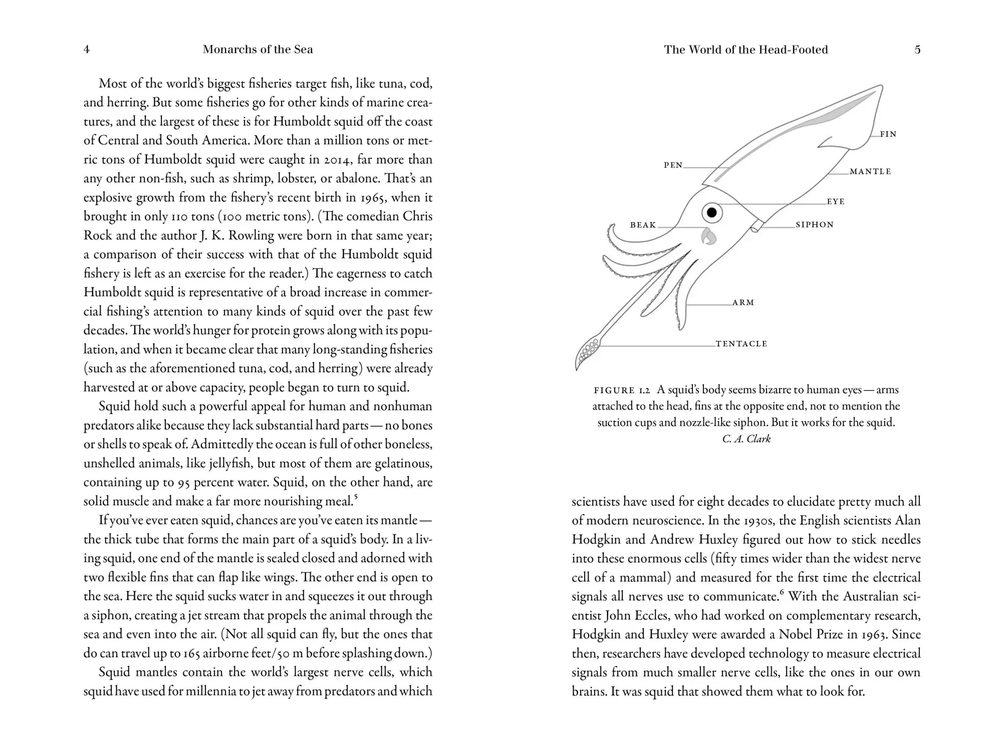 Bild: 9781615197408 | Monarchs of the Sea | Danna Staaf | Taschenbuch | Englisch | 2020