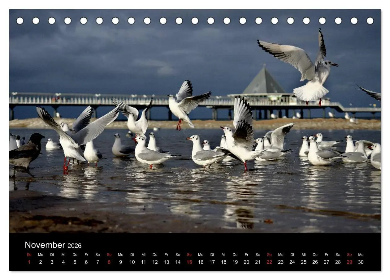 Bild: 9783457287408 | Usedom 2026 Rendezvous zwischen Ahlbeck und Heringsdorf...
