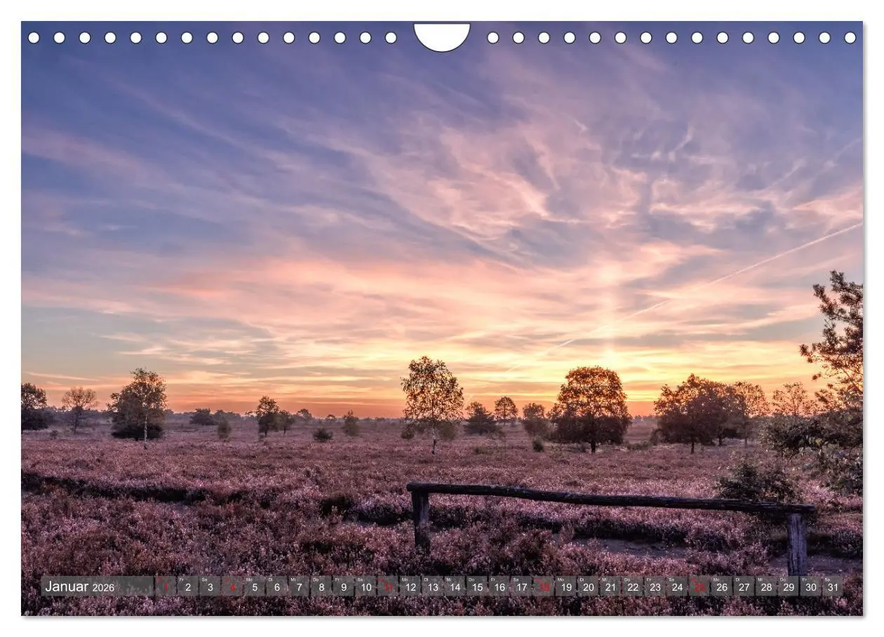 Bild: 9783457357408 | Die Lüneburger Heide - In voller Blüte (Wandkalender 2026 DIN A4...