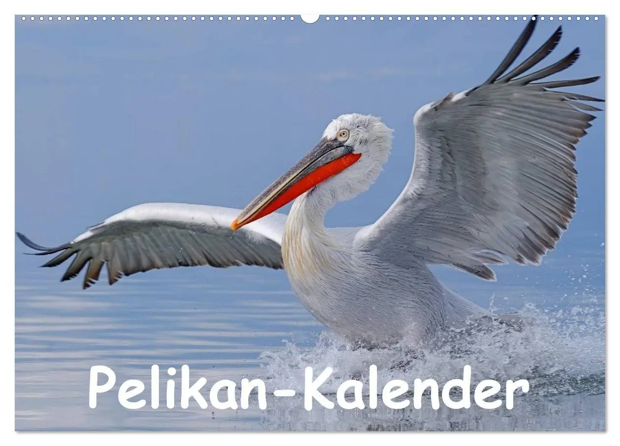 Cover: 9783594117408 | Pelikan-Kalender (Wandkalender 2027 DIN A2 quer), CALVENDO...