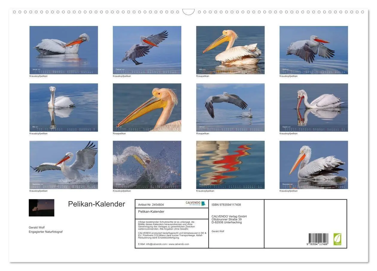 Bild: 9783594117408 | Pelikan-Kalender (Wandkalender 2027 DIN A2 quer), CALVENDO...