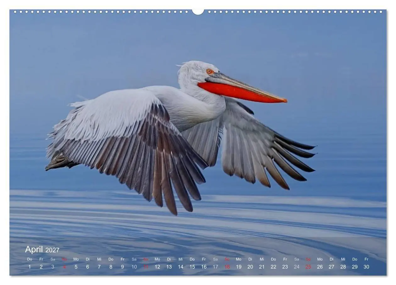 Bild: 9783594117408 | Pelikan-Kalender (Wandkalender 2027 DIN A2 quer), CALVENDO...