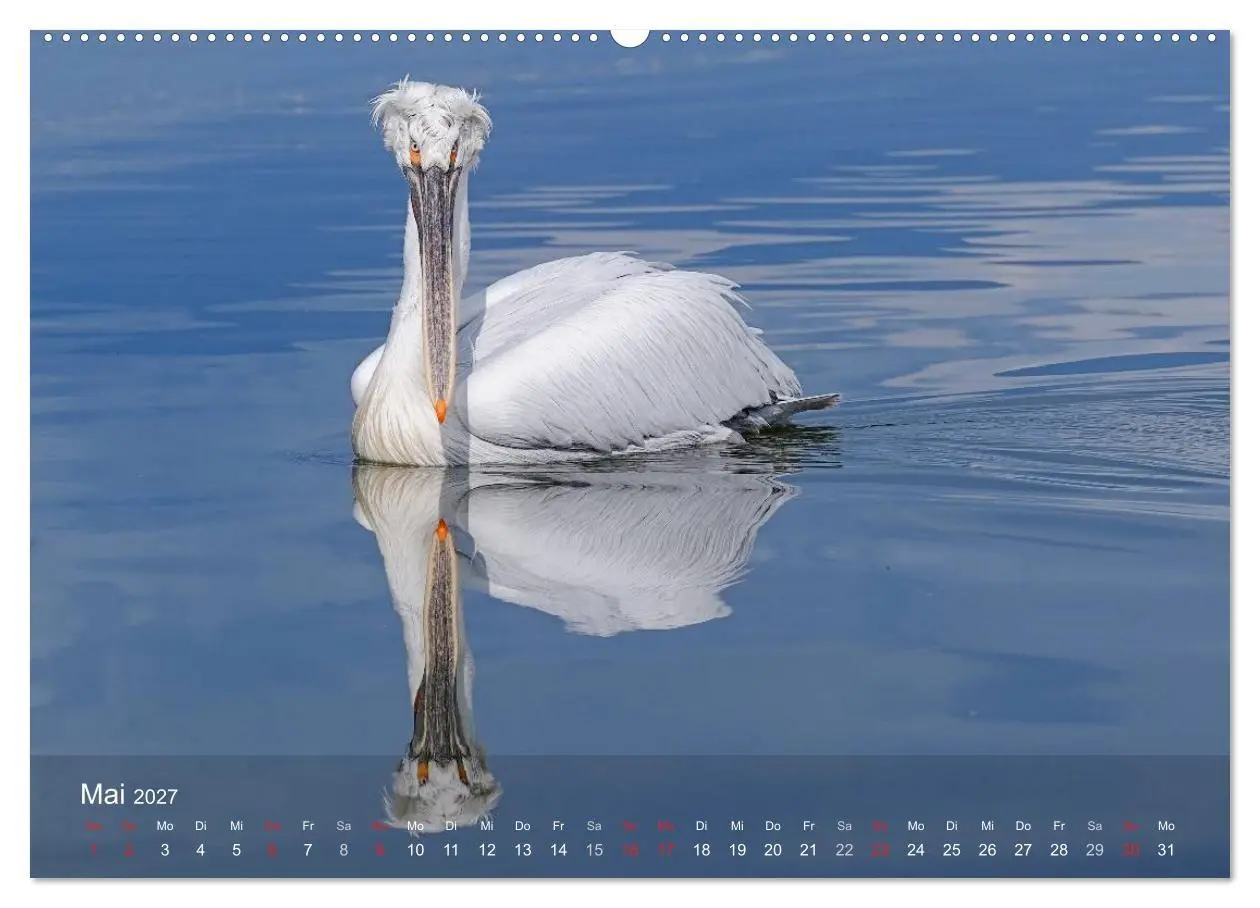 Bild: 9783594117408 | Pelikan-Kalender (Wandkalender 2027 DIN A2 quer), CALVENDO...