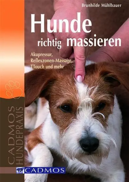 Cover: 9783861277408 | Hunde richtig massieren | Brunhilde Mühlbauer | Taschenbuch | 80 S.