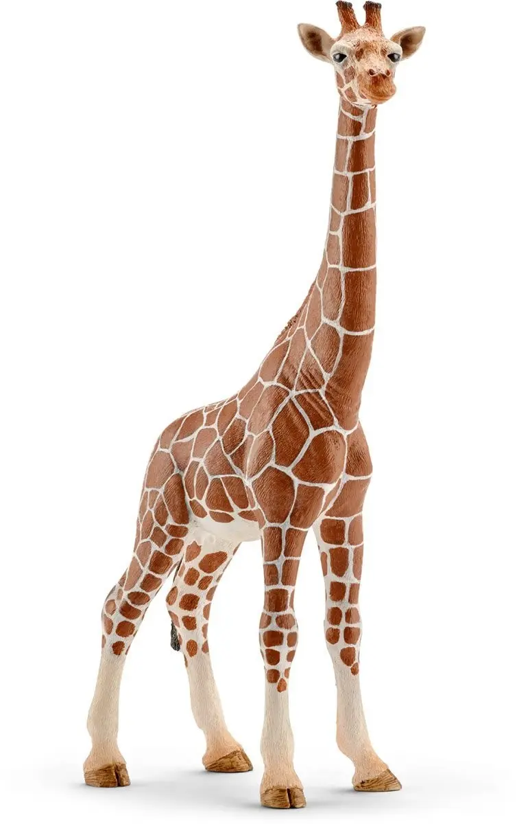 Cover: 4005086147508 | Spielfigur Schleich Female Giraffe | Schleich® | Schleich | 14750