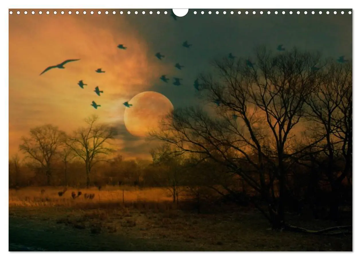 Bild: 9783435707508 | Sehnsucht der Natur (Wandkalender 2025 DIN A3 quer), CALVENDO...