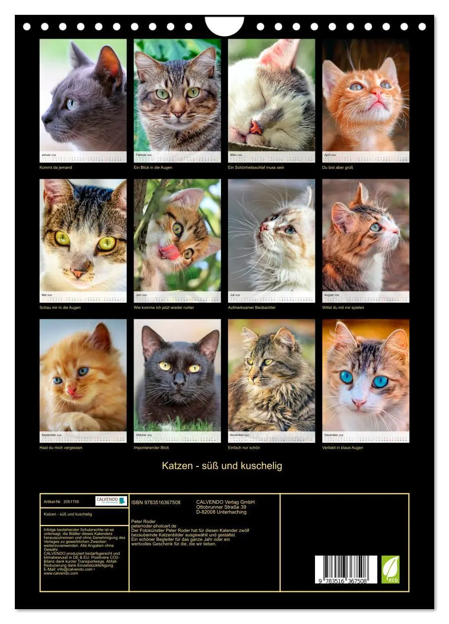 Bild: 9783516367508 | Katzen - süß und kuschelig (Wandkalender 2026 DIN A4 hoch),...