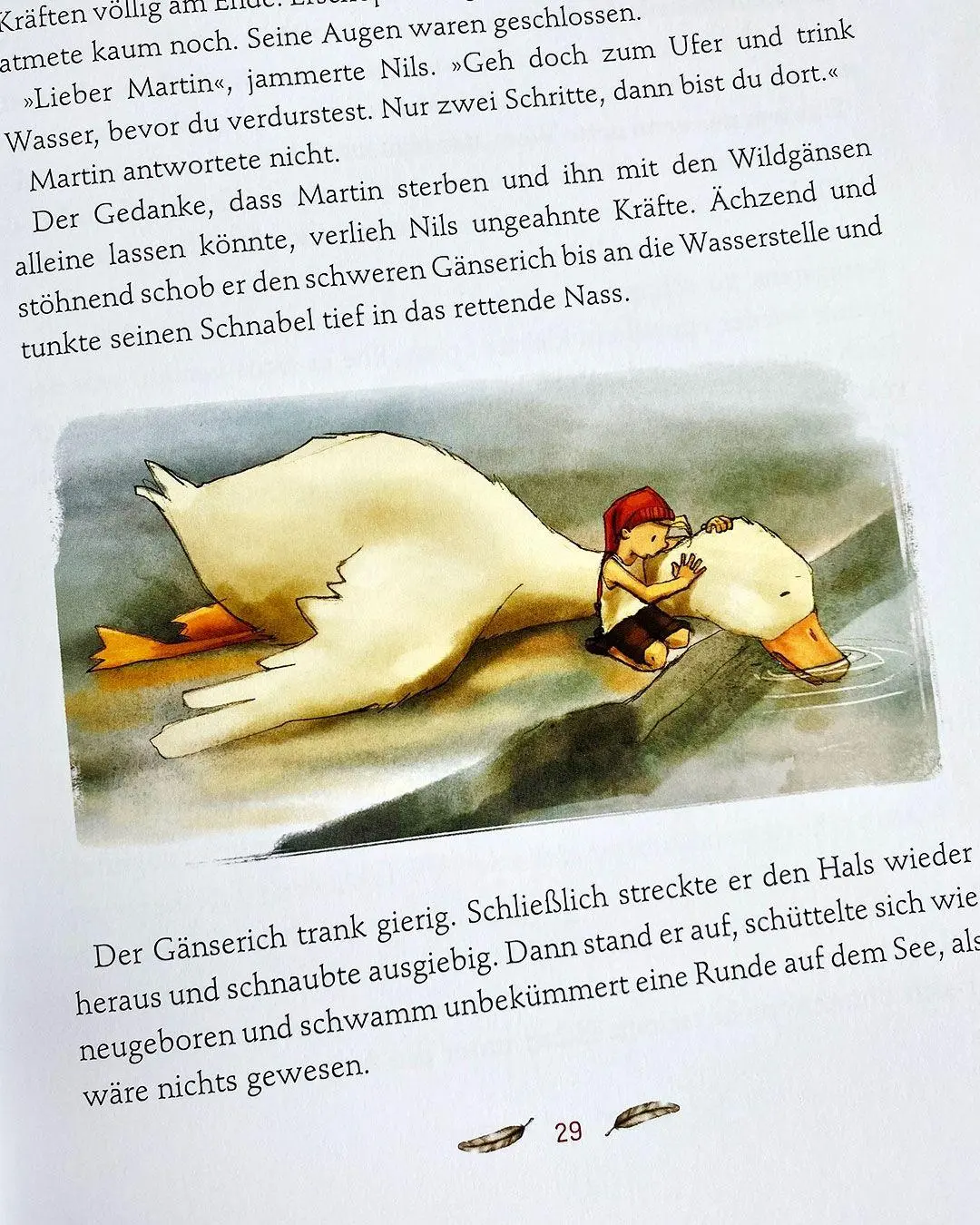 Bild: 9783751207508 | Klassiker zum Vorlesen. Nils Holgersson | Usch Luhn | Buch | 128 S.