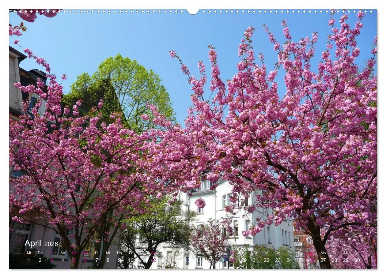 Bild: 9783457957608 | Marburg 2026 (hochwertiger Premium Wandkalender 2026 DIN A2 quer),...