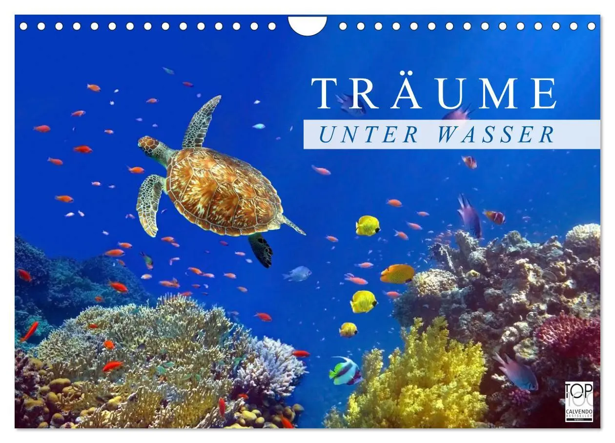 Cover: 9783516117608 | Träume unter Wasser (Wandkalender 2026 DIN A4 quer), CALVENDO...
