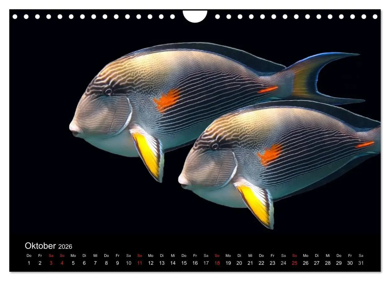 Bild: 9783516117608 | Träume unter Wasser (Wandkalender 2026 DIN A4 quer), CALVENDO...