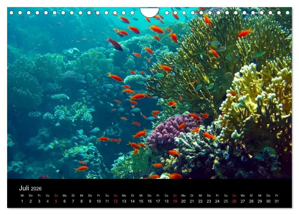 Bild: 9783516117608 | Träume unter Wasser (Wandkalender 2026 DIN A4 quer), CALVENDO...