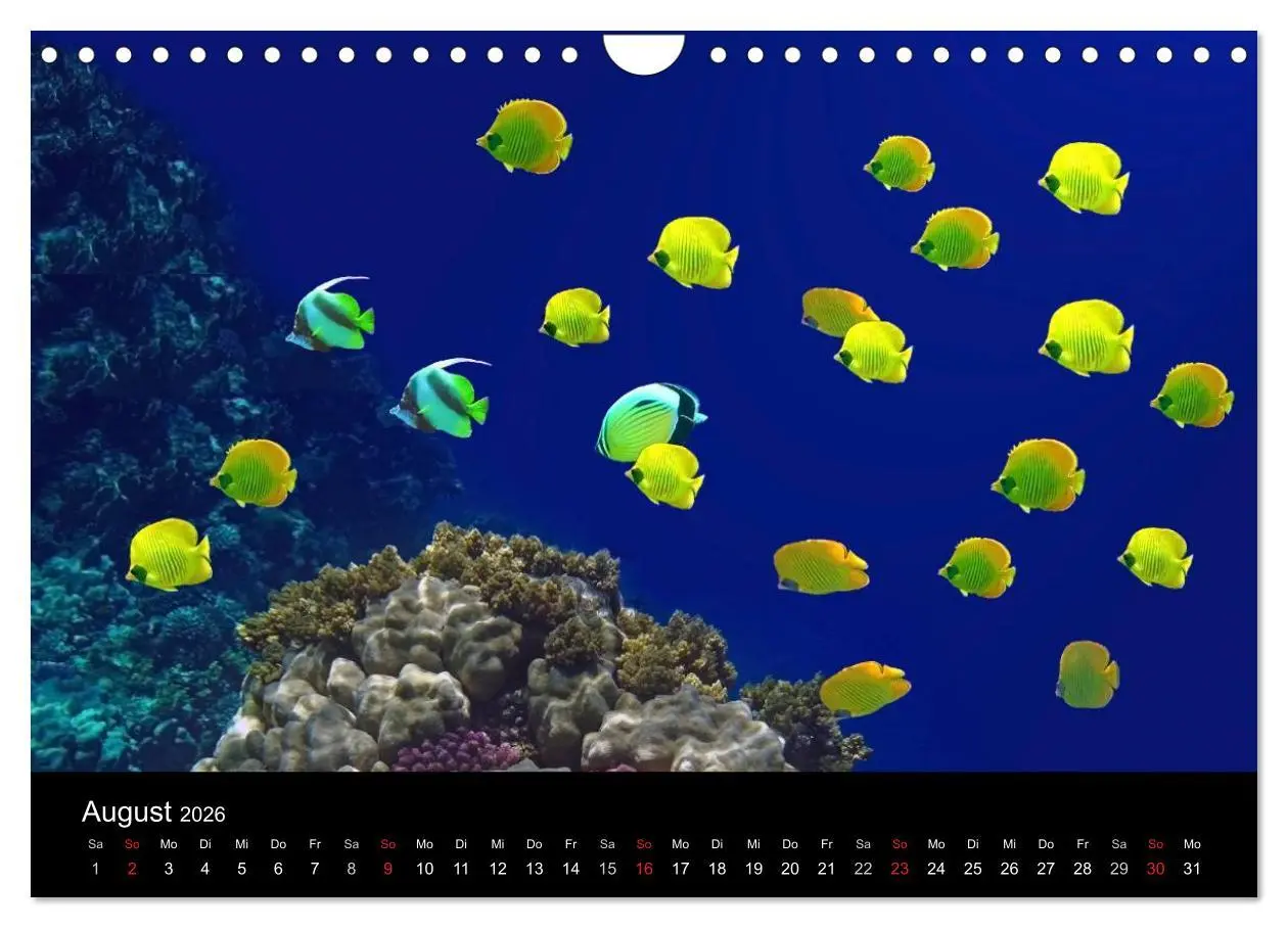 Bild: 9783516117608 | Träume unter Wasser (Wandkalender 2026 DIN A4 quer), CALVENDO...