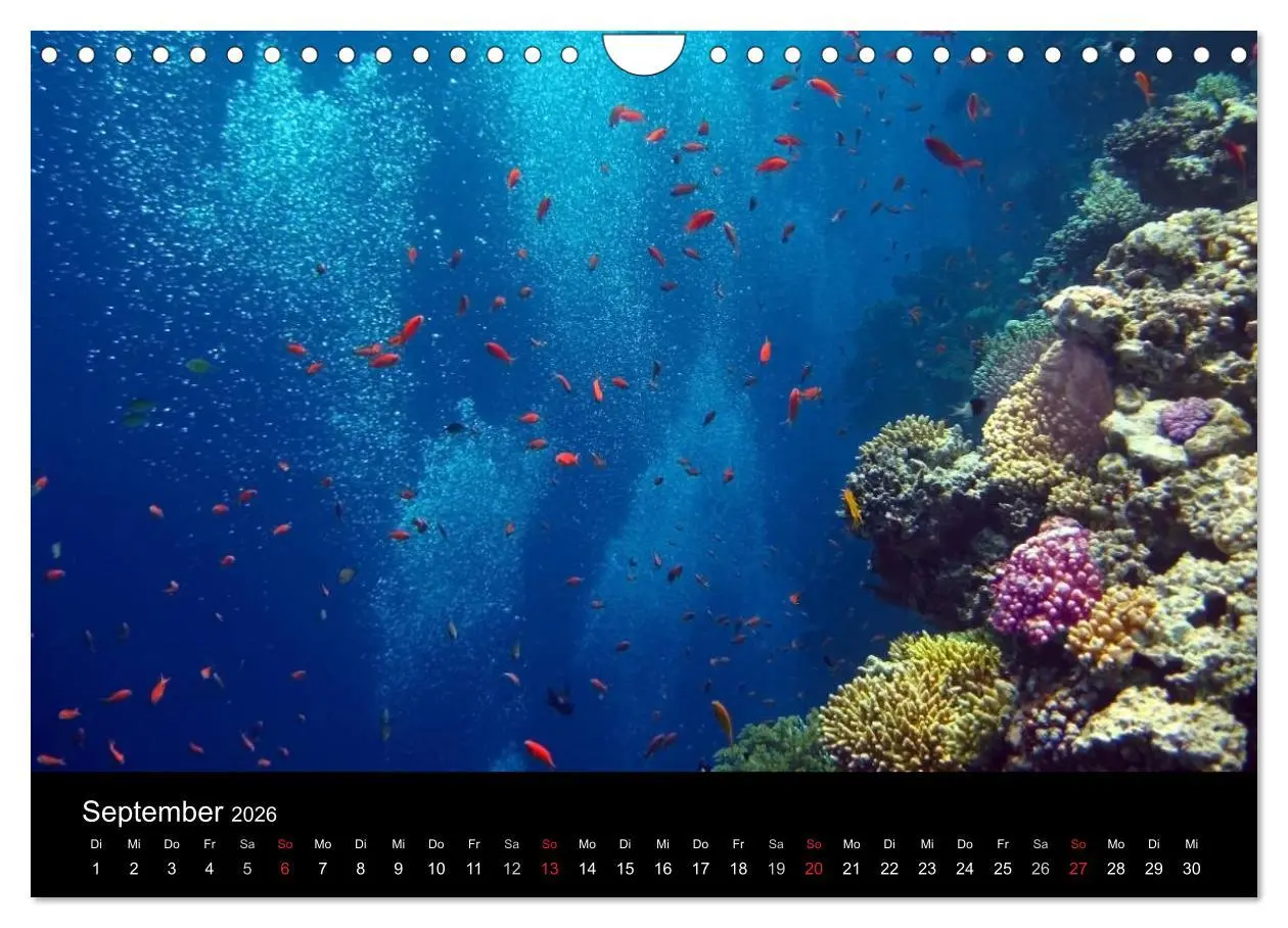Bild: 9783516117608 | Träume unter Wasser (Wandkalender 2026 DIN A4 quer), CALVENDO...
