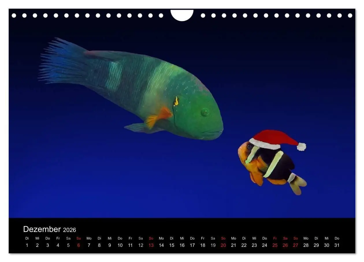 Bild: 9783516117608 | Träume unter Wasser (Wandkalender 2026 DIN A4 quer), CALVENDO...