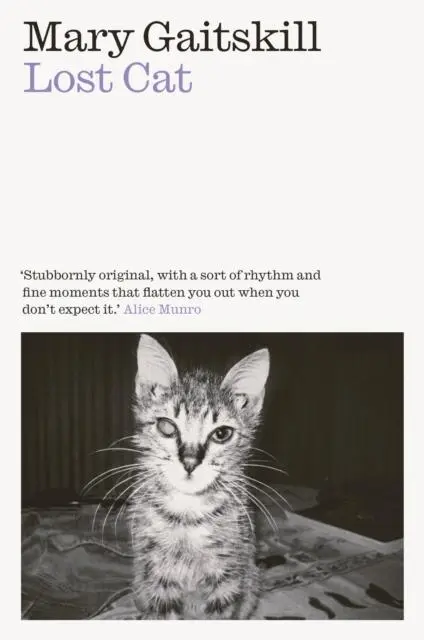 Cover: 9781911547808 | Lost Cat | A Memoir | Mary Gaitskill | Taschenbuch | 96 S. | Englisch