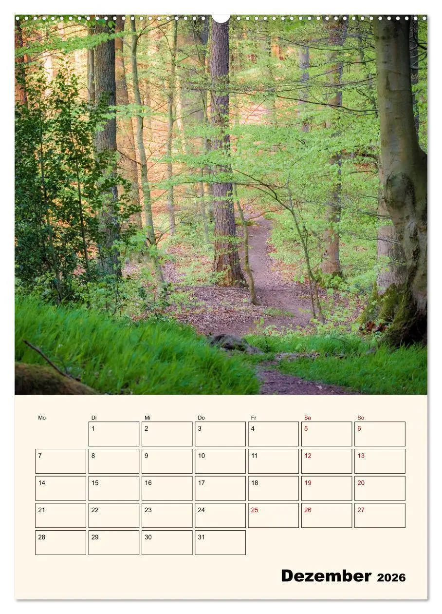Bild: 9783516267808 | Deutschland. Deutsche Lande, vielfältig und bunt (Wandkalender 2026...