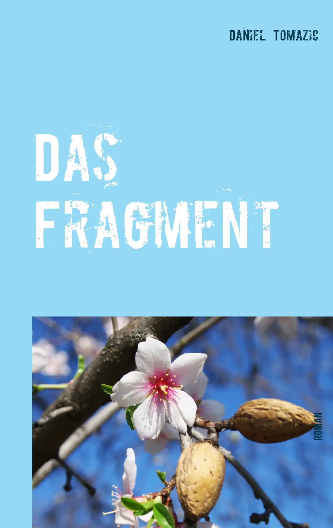 Cover: 9783743117808 | Das Fragment | Roman | Daniel Tomazic | Taschenbuch | 240 S. | Deutsch