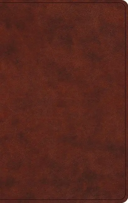 Cover: 9798874907808 | ESV Large Print Value Thinline Bible | Esv Bibles | Buch | Englisch
