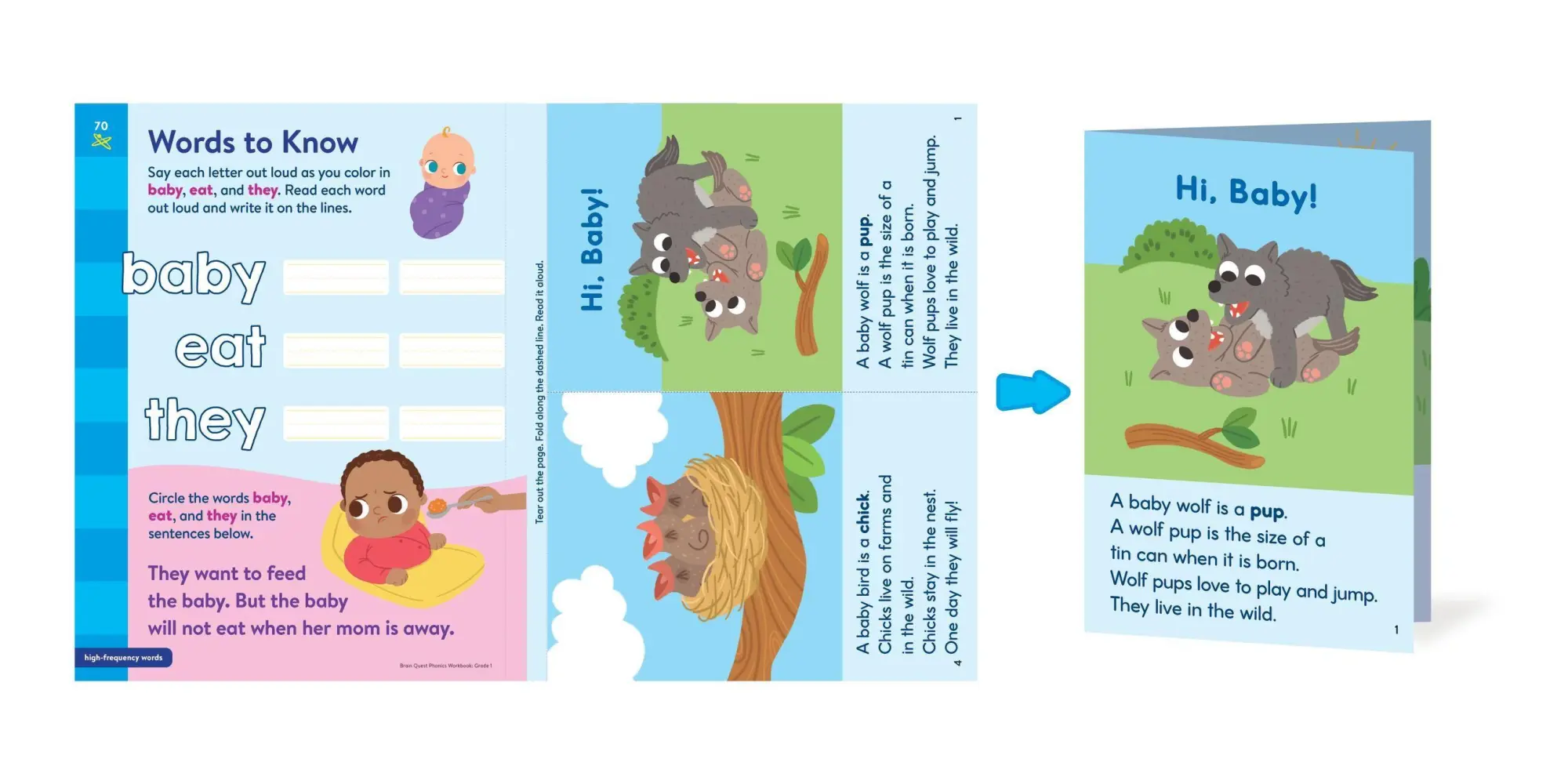 Bild: 9781523527908 | Brain Quest Phonics Workbook: Grade 1 | Workman Publishing | Buch