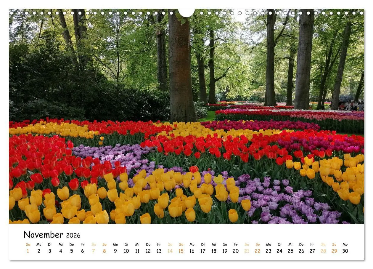 Bild: 9783457547908 | Auf Tour im Land der Tulpen (Wandkalender 2026 DIN A3 quer),...