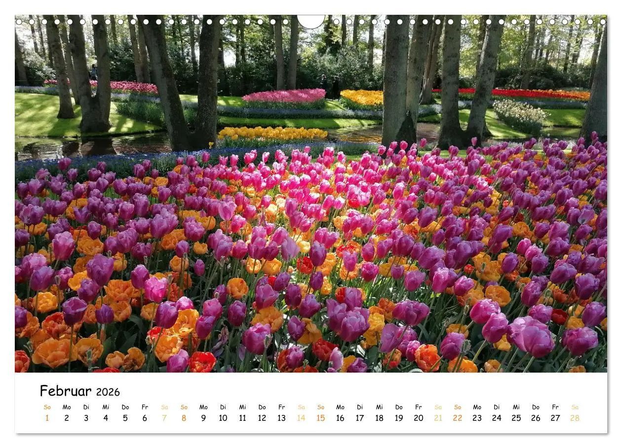Bild: 9783457547908 | Auf Tour im Land der Tulpen (Wandkalender 2026 DIN A3 quer),...