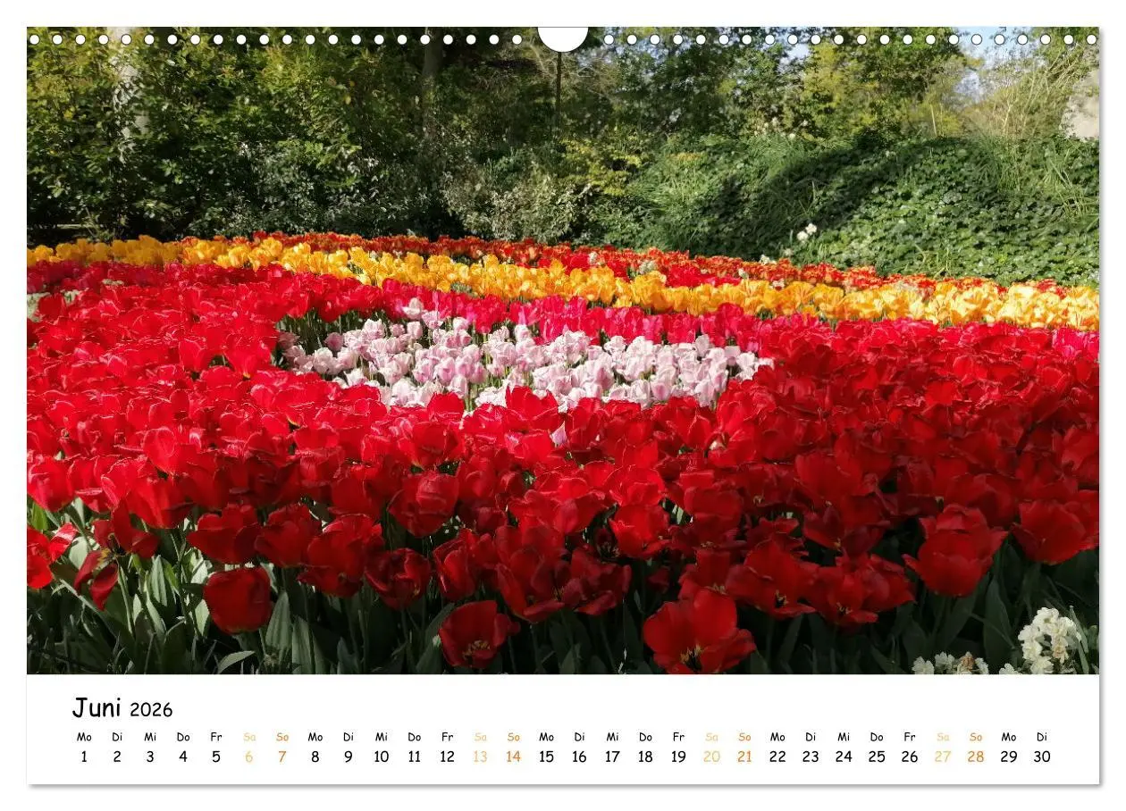 Bild: 9783457547908 | Auf Tour im Land der Tulpen (Wandkalender 2026 DIN A3 quer),...