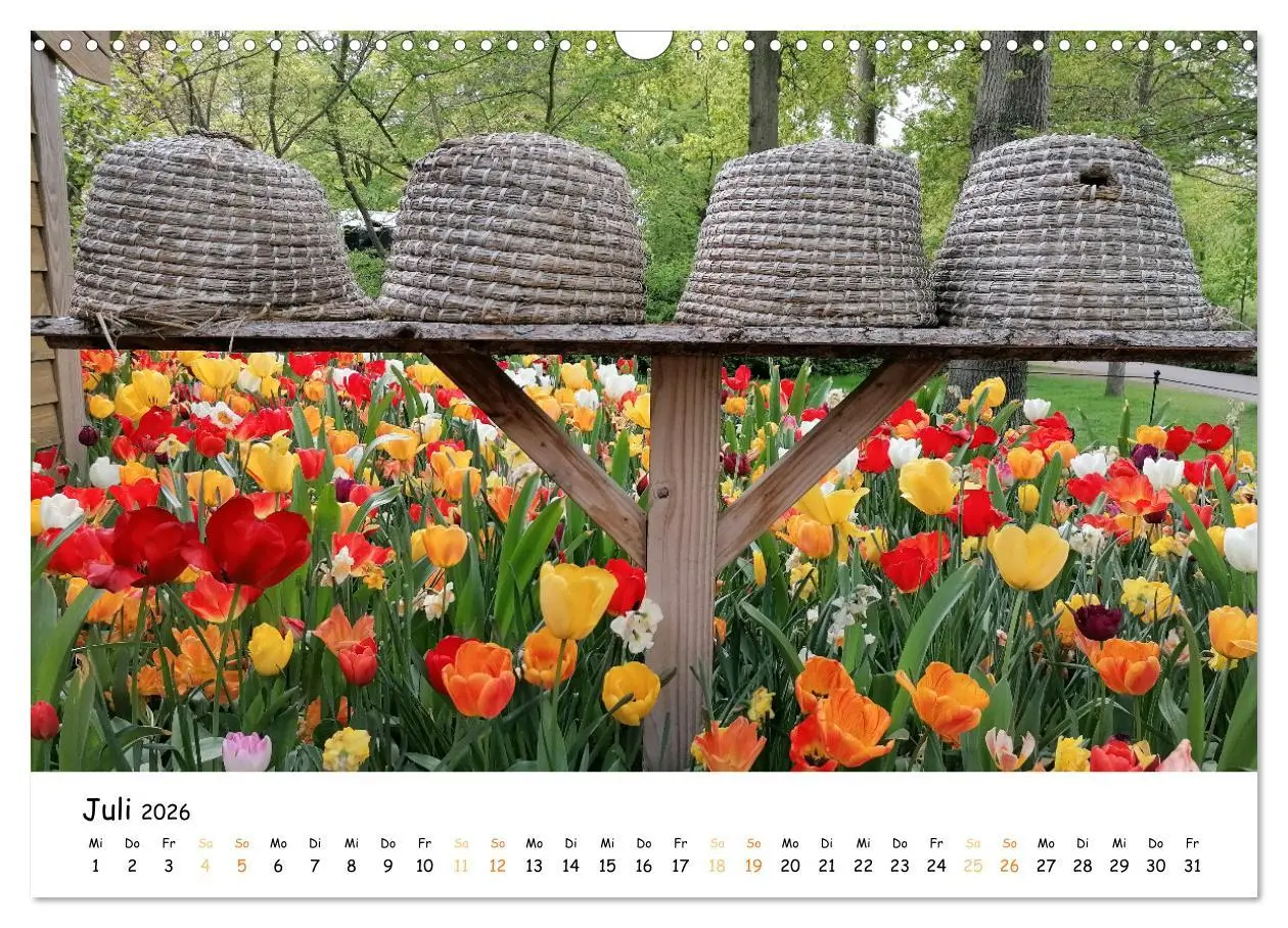 Bild: 9783457547908 | Auf Tour im Land der Tulpen (Wandkalender 2026 DIN A3 quer),...