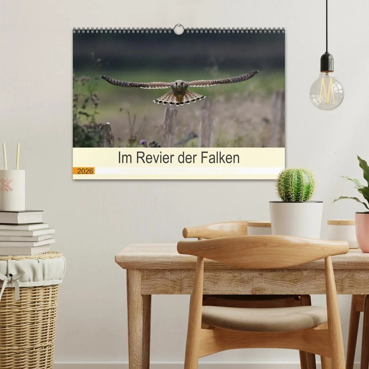 Bild: 9783457617908 | Im Revier der Falken (Wandkalender 2026 DIN A3 quer), CALVENDO...