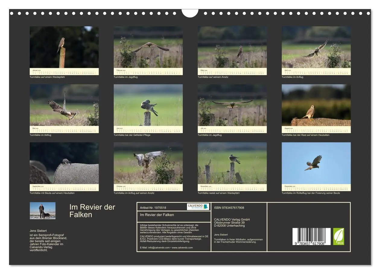 Bild: 9783457617908 | Im Revier der Falken (Wandkalender 2026 DIN A3 quer), CALVENDO...