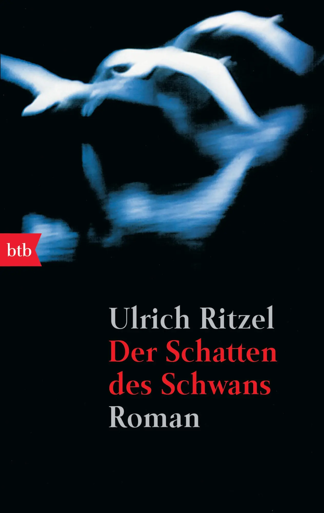 Cover: 9783442728008 | Der Schatten des Schwans | Ulrich Ritzel | Taschenbuch | btb | 288 S.