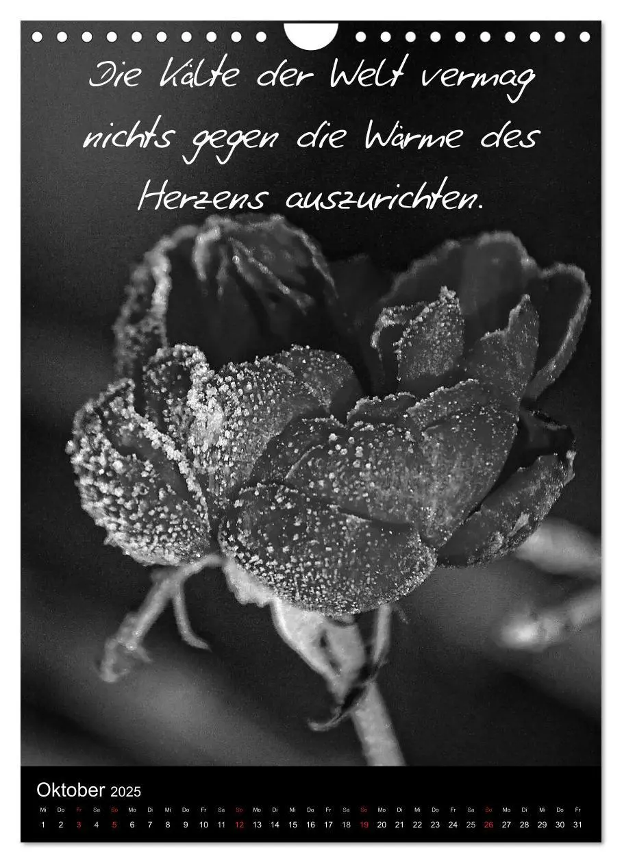 Bild: 9783457058008 | Kluge Sprüche in Schwarz-Weiß (Wandkalender 2025 DIN A4 hoch),...
