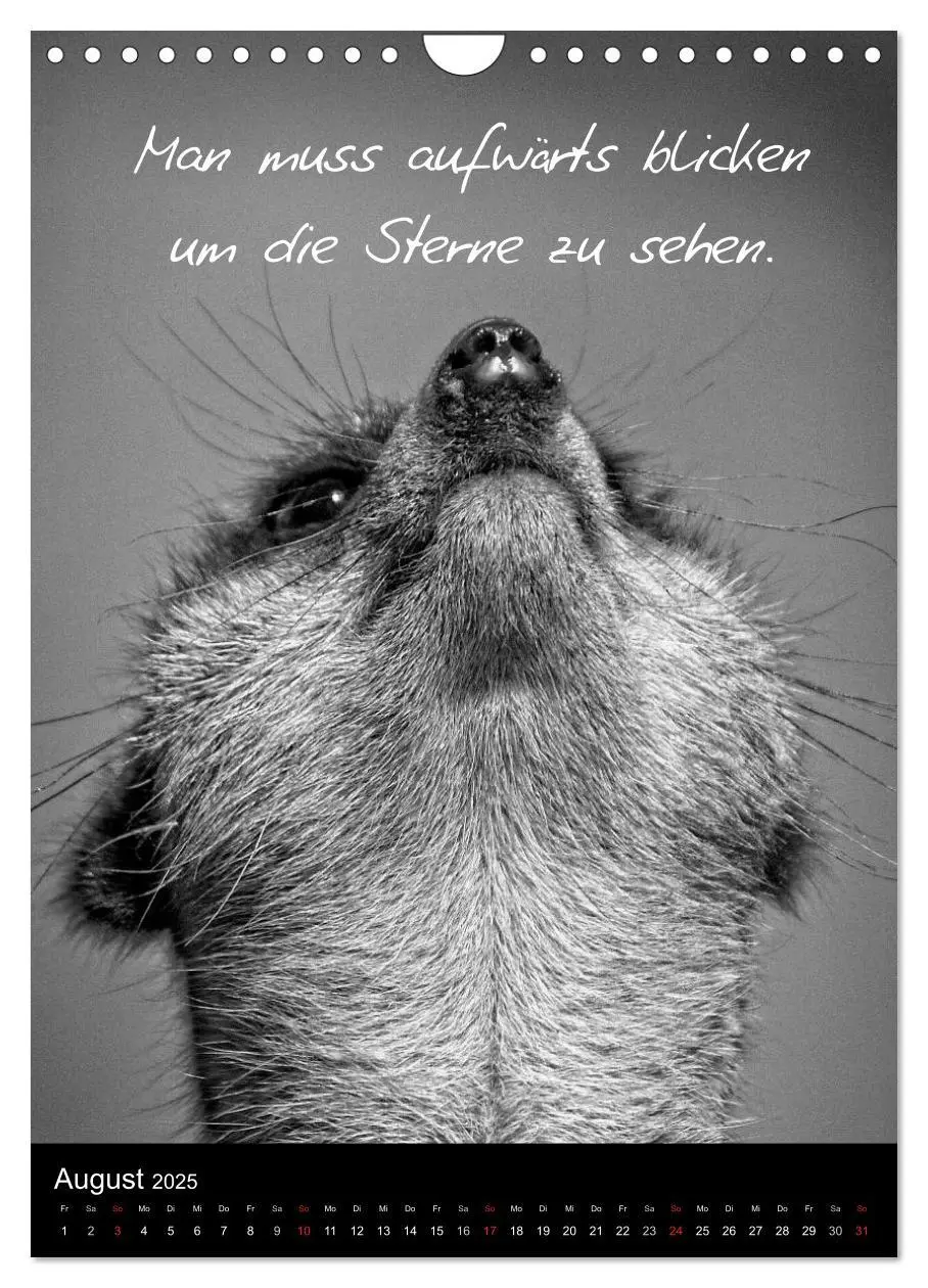 Bild: 9783457058008 | Kluge Sprüche in Schwarz-Weiß (Wandkalender 2025 DIN A4 hoch),...