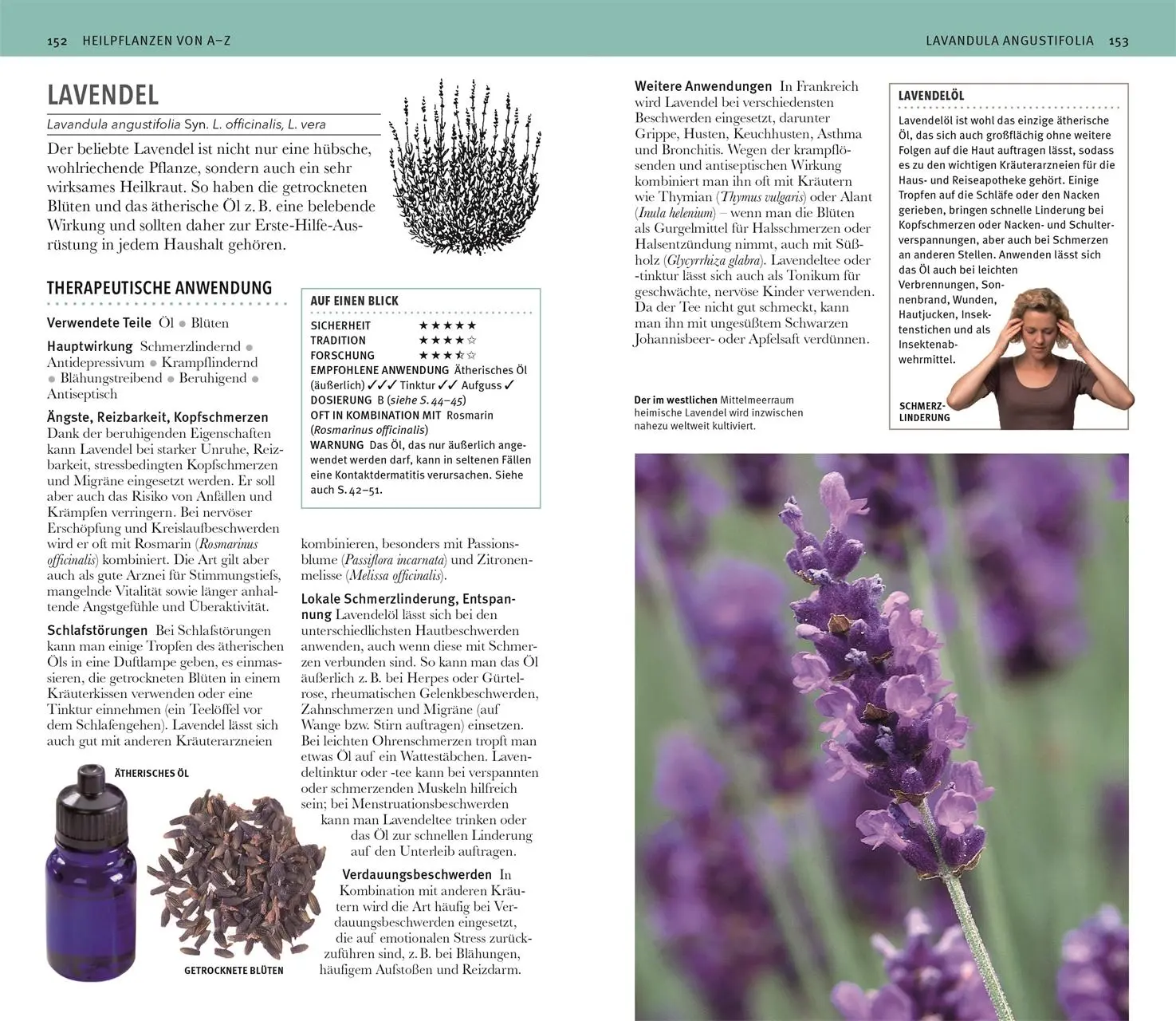 Bild: 9783831038008 | Heilpflanzen Kompaktlexikon | Andrew Chevallier | Taschenbuch | 288 S.
