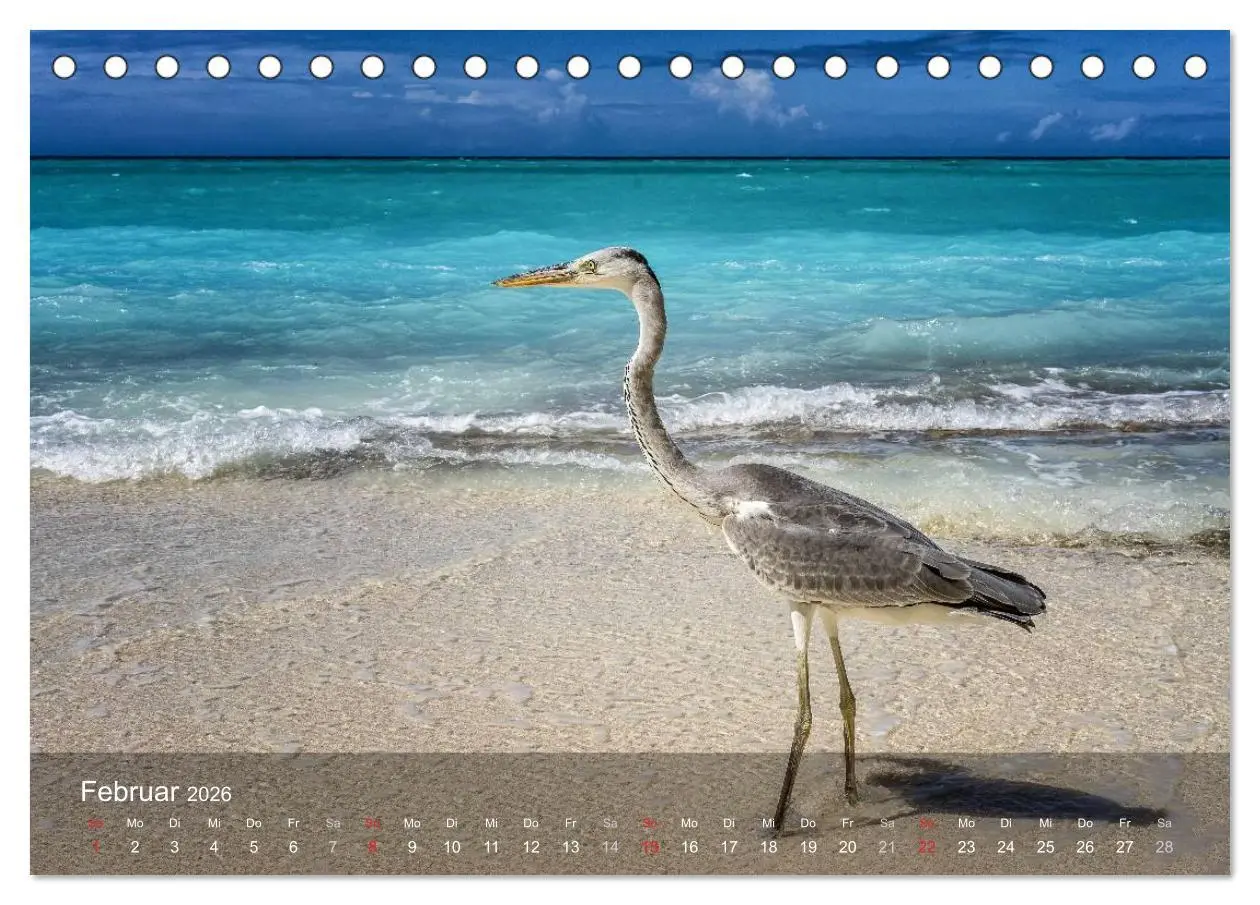 Bild: 9783516068108 | Malediven Impressionen aus dem Paradies (Tischkalender 2026 DIN A5...