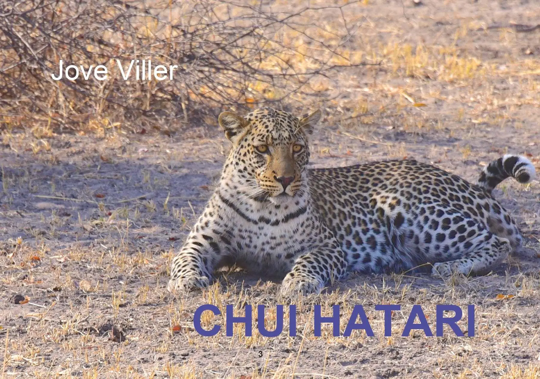 Cover: 9783991658108 | CHUI HATARI | Die Geschichte vom kleinen Leoparden Rudi | Jove Viller