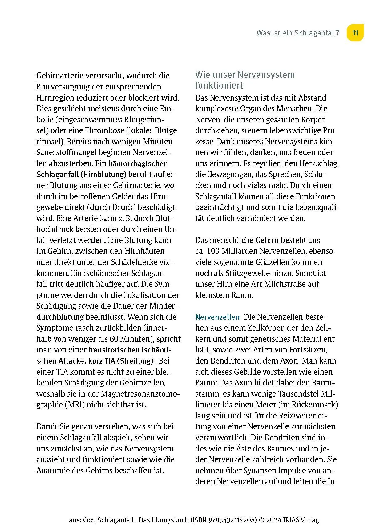 Bild: 9783432118208 | Schlaganfall - Das Übungsbuch | Cornelia Cox | Taschenbuch | 128 S.