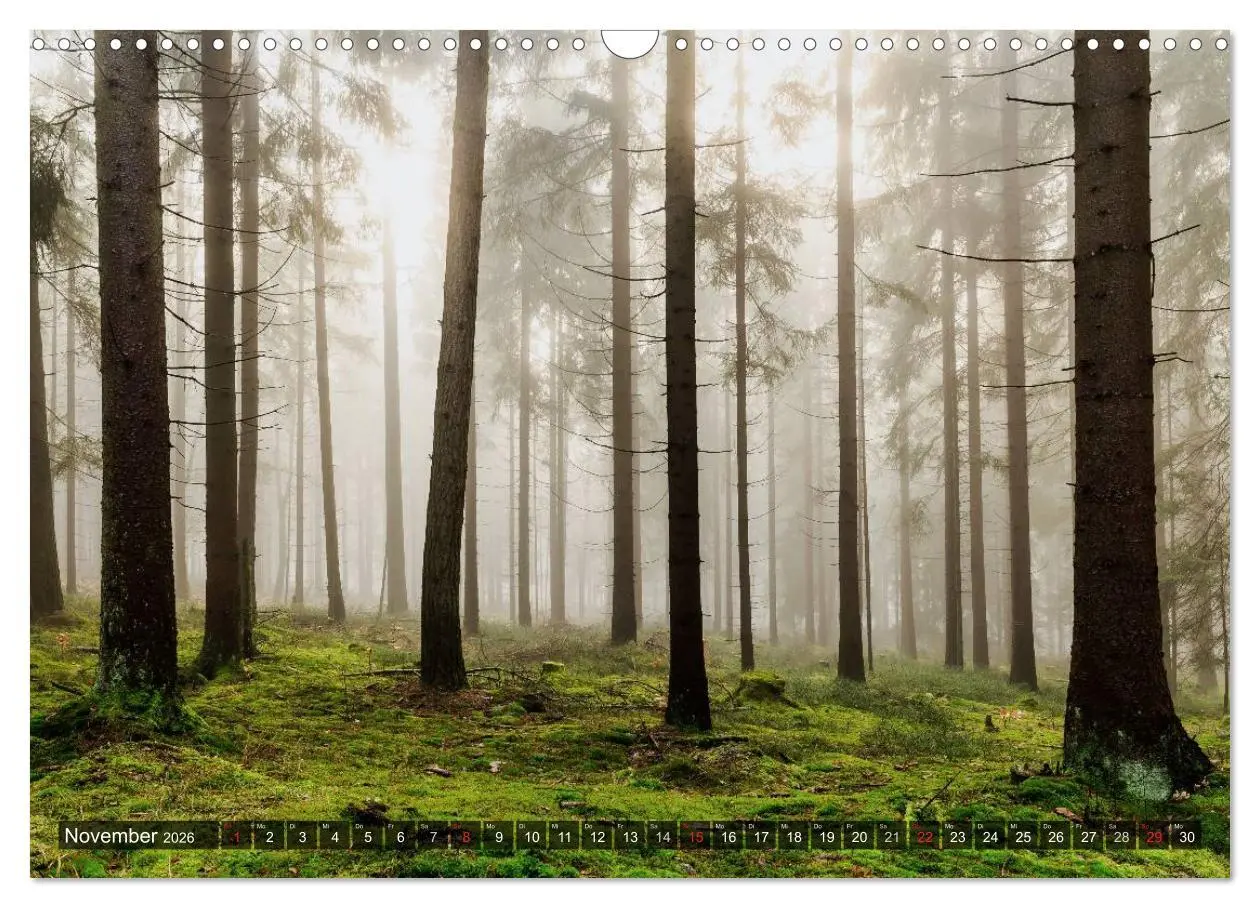 Bild: 9783457968208 | Zauberhaftes Fichtelgebirge (Wandkalender 2026 DIN A3 quer),...