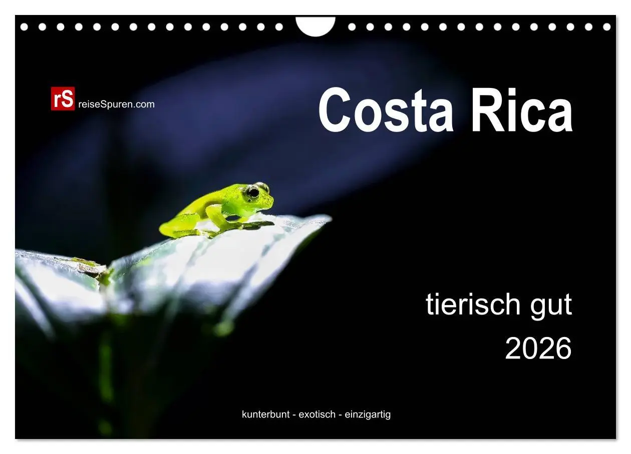 Cover: 9783516128208 | Costa Rica tierisch gut 2026 (Wandkalender 2026 DIN A4 quer),...