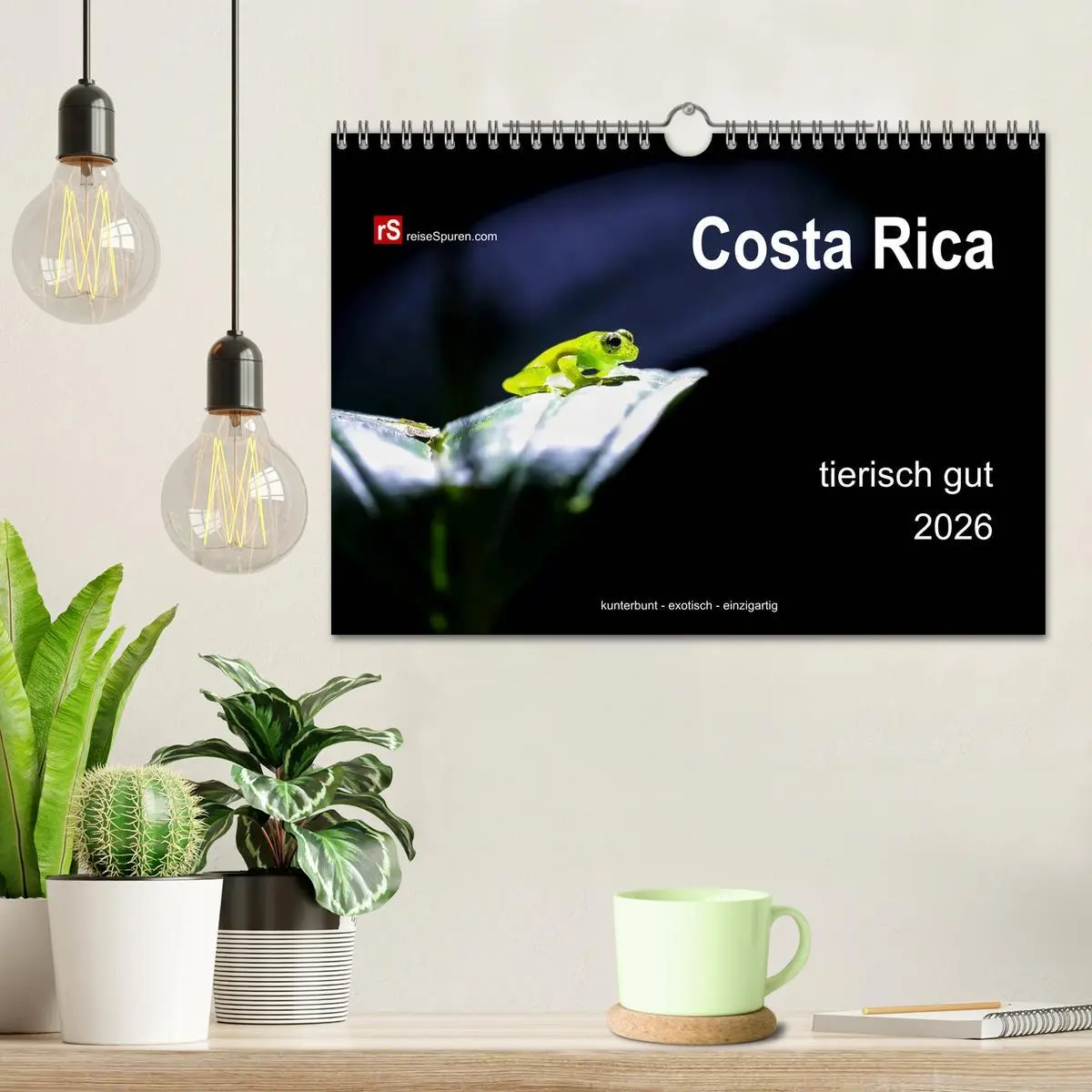 Bild: 9783516128208 | Costa Rica tierisch gut 2026 (Wandkalender 2026 DIN A4 quer),...