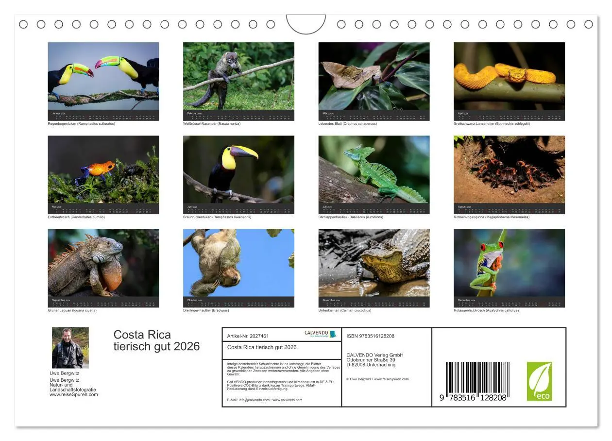 Bild: 9783516128208 | Costa Rica tierisch gut 2026 (Wandkalender 2026 DIN A4 quer),...