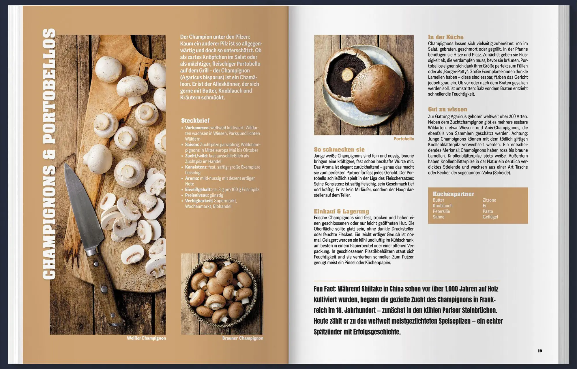 Bild: 9783784358208 | Pilzküche | Martin Kintrup | Buch | 160 S. | Deutsch | 2026