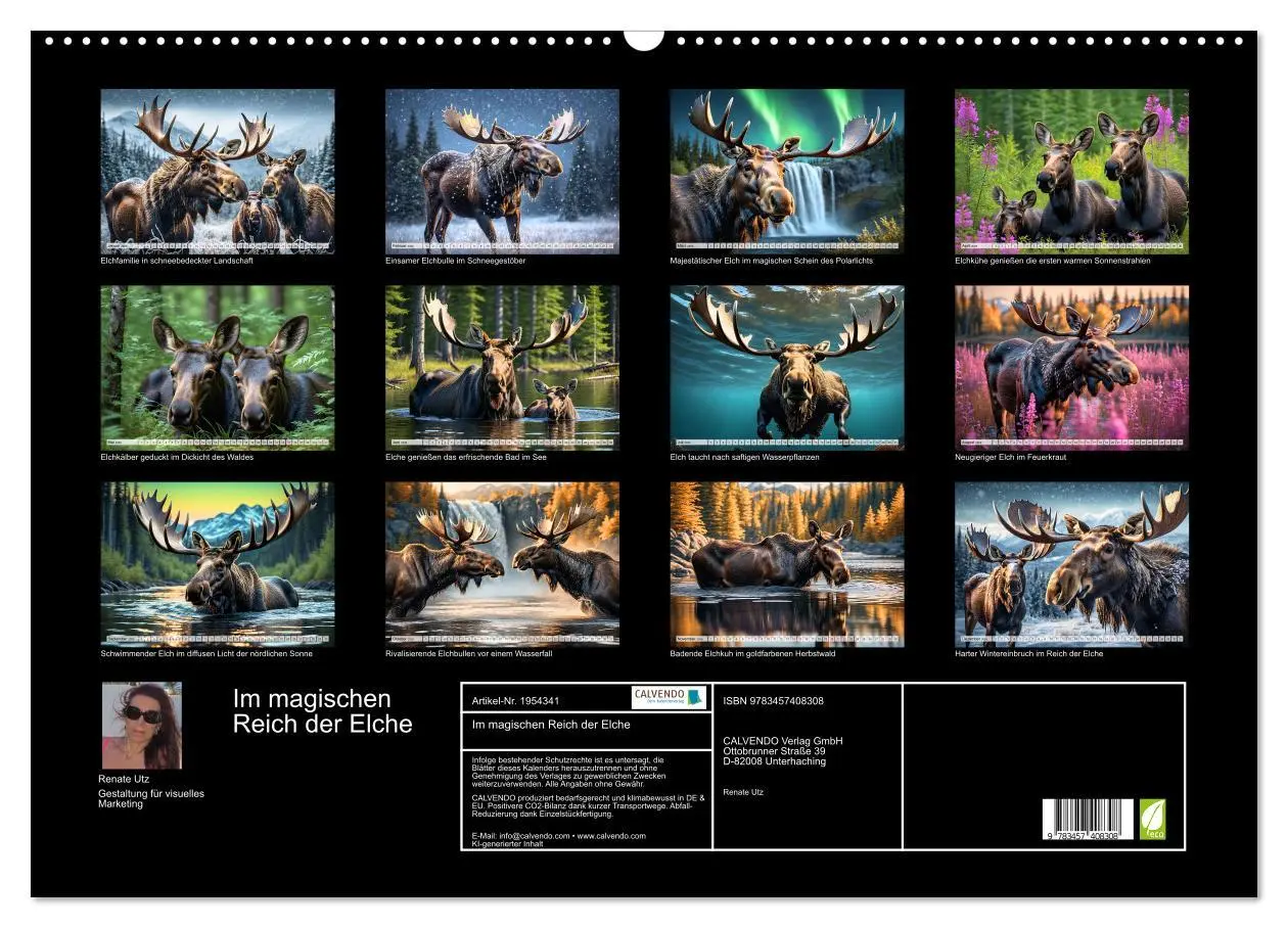 Bild: 9783457408308 | Im magischen Reich der Elche (Wandkalender 2026 DIN A2 quer),...