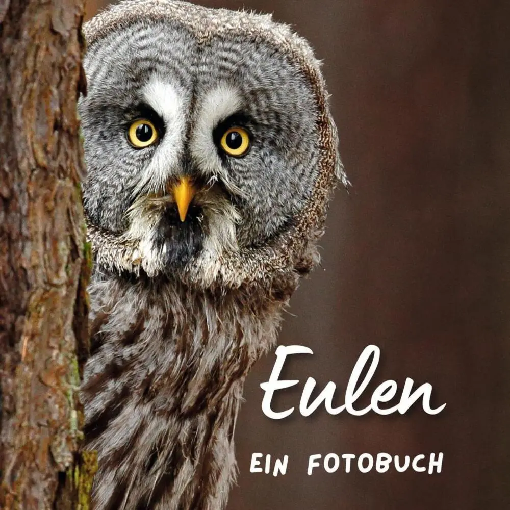 Cover: 9783750518308 | Eulen | Ein Fotobuch. Das perfekte Geschenk | Bibi Hübsch | Buch