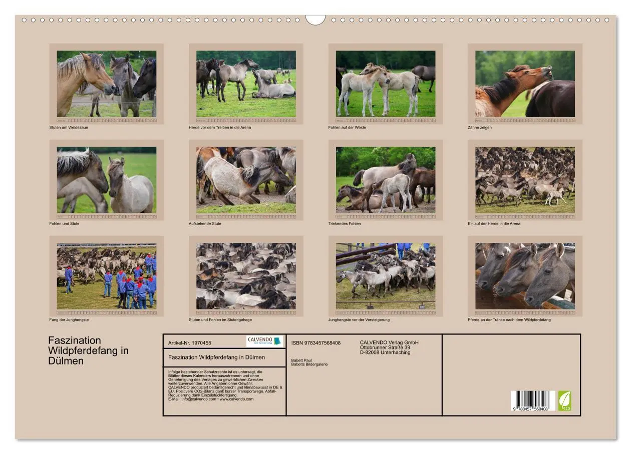 Bild: 9783457568408 | Faszination Wildpferdefang in Dülmen (Wandkalender 2026 DIN A2...